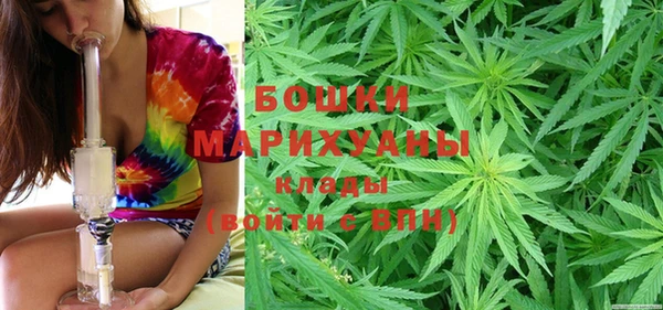 амф Няндома