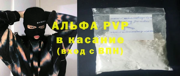прущие грибы Нягань