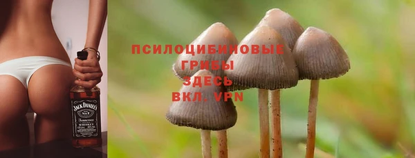 амф Няндома