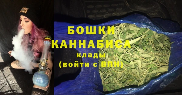 амф Няндома