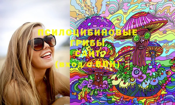амф Няндома