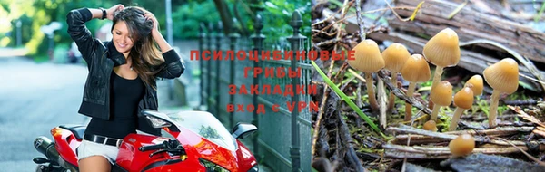 амф Няндома