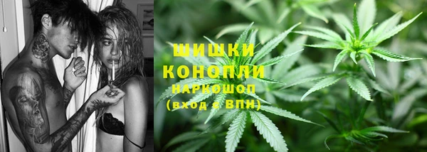 прущие грибы Нягань