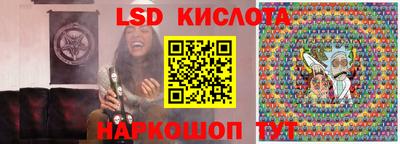 прущие грибы Абакан