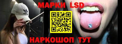 шишки Аргун